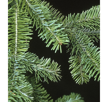 Aroma Derm au sapin baumier