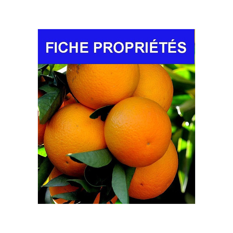 Orange douce
